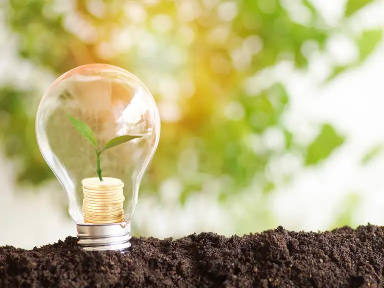 Uma lâmpada contendo uma muda verde crescendo em cima de moedas está inserida em solo fértil, com um fundo verde borrado e luz solar